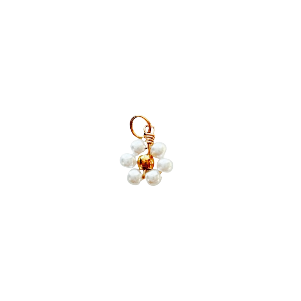 CHARMS