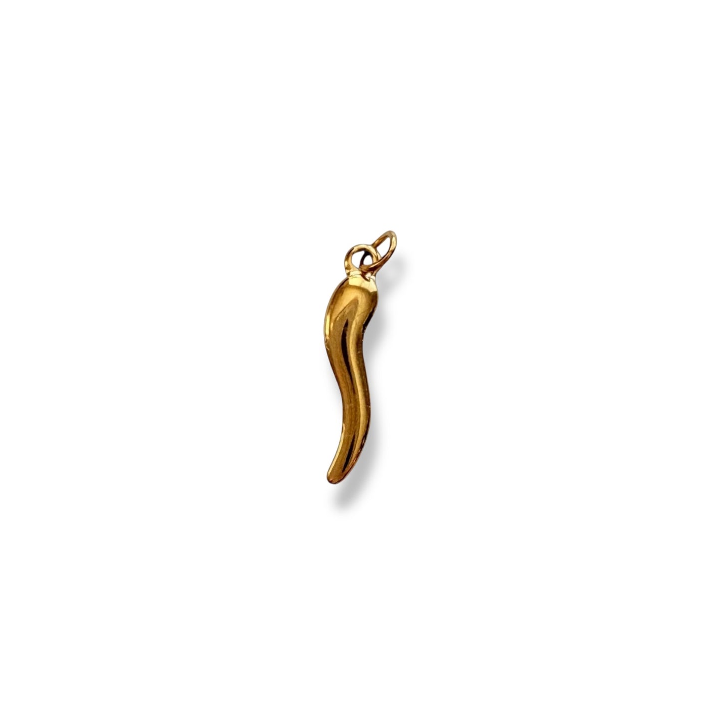 Gold Chilli Charm