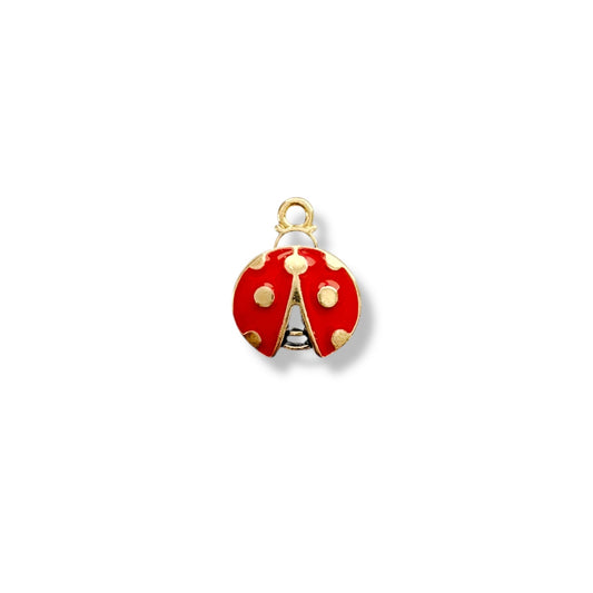 Ladybug