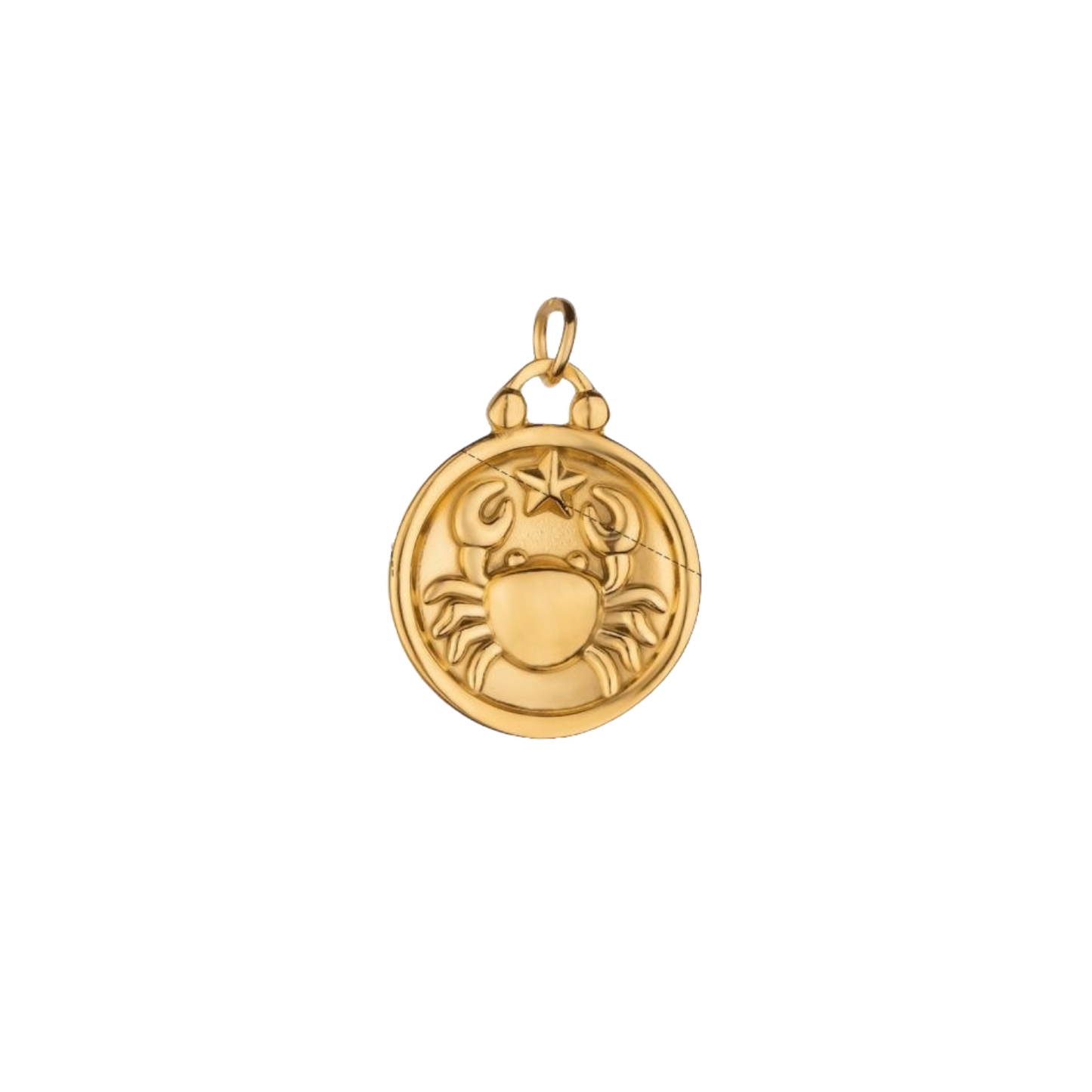 Zodiac Charms