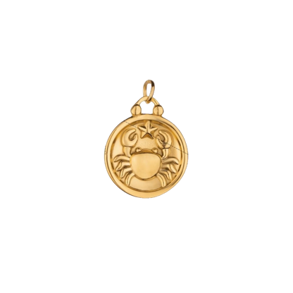 Zodiac Charms