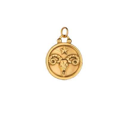 Zodiac Charms