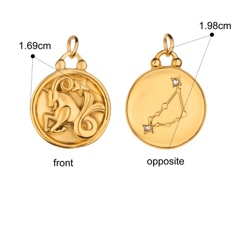 Zodiac Charms