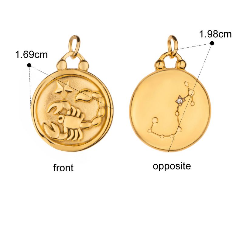 Zodiac Charms