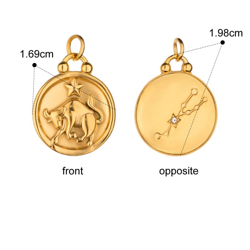 Zodiac Charms