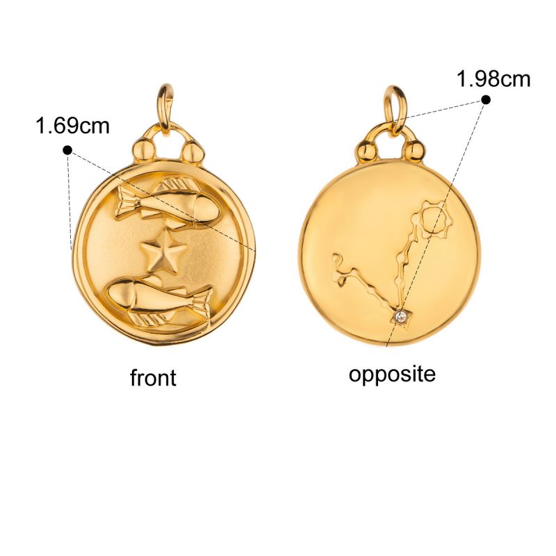Zodiac Charms